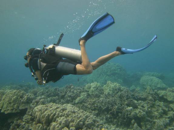 Mergulhando na Honaunau Bay, ao sul de Kona, na Big Island, no Havaí